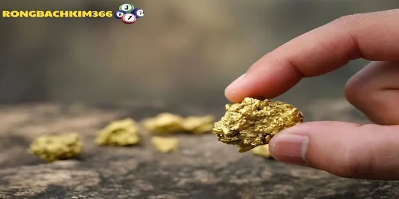 Tìm hiểu ý nghĩa sâu xa của giấc mơ nhặt được vàng cùng Rồng Bạch Kim 366