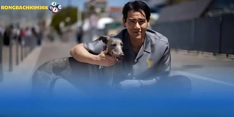Tóm tắt các giấc mộng về chó đen mà ai cũng từng trải qua