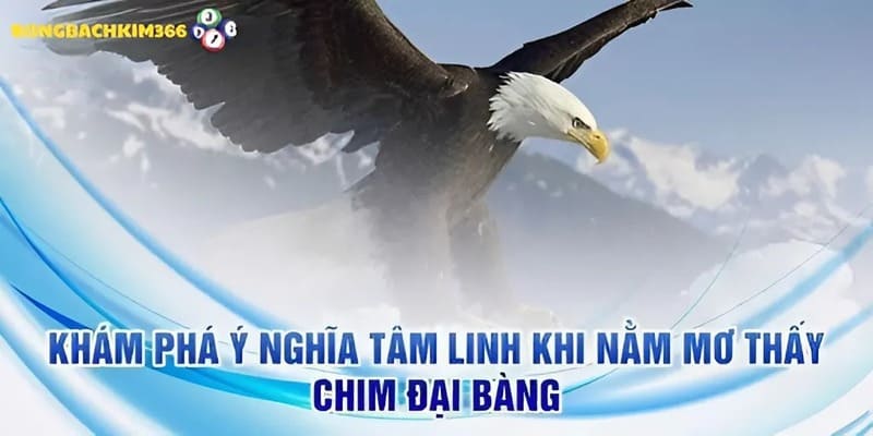 Cùng Rồng Bạch Kim 366 khai mở bí ẩn tâm linh về giấc mơ thấy chim đại bàng