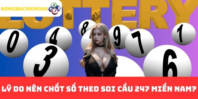 Lý do nên chốt số theo soi cầu 247 miền Nam?