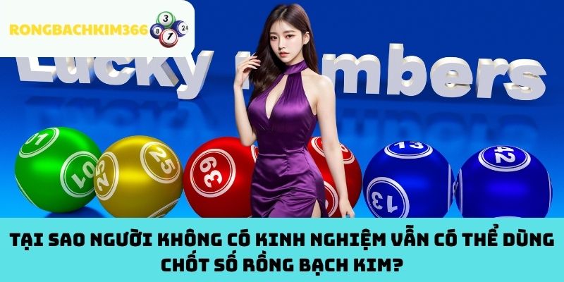 Tại sao người không có kinh nghiệm vẫn có thể dùng chốt số Rồng Bạch Kim?