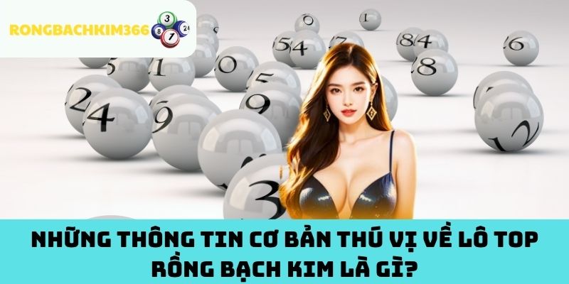 Những Thông Tin Cơ Bản Thú Vị Về Lô Top Rồng Bạch Kim Là Gì?