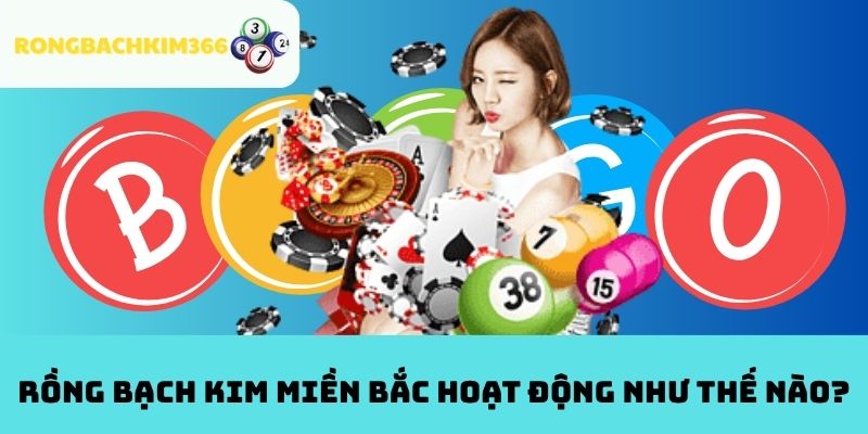 RỒNG BẠCH KIM MIỀN BẮC HOẠT ĐỘNG NHƯ THẾ NÀO?