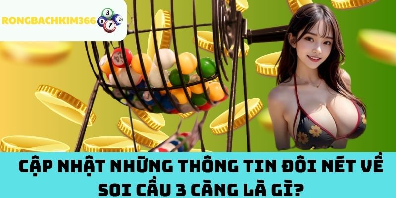 Cập nhật những thông tin đôi nét về soi cầu 3 càng là gì?