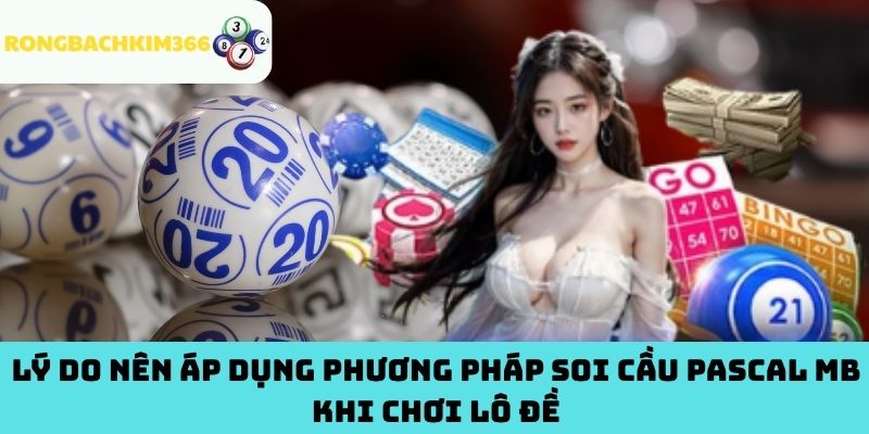 Lý Do Nên Áp Dụng Phương Pháp Soi Cầu Pascal MB Khi Chơi Lô Đề