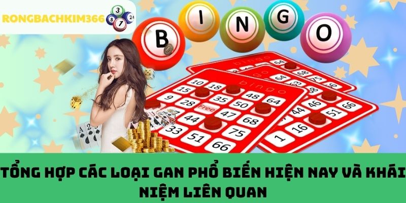 Các loại lô gan phổ biến hiện nay