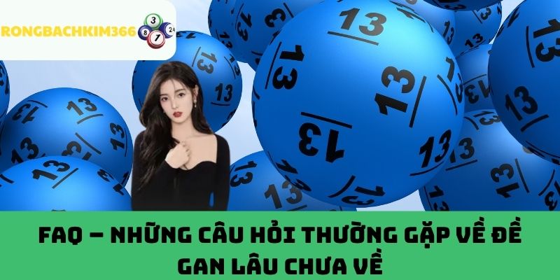 Tổng hợp thắc mắc phổ biến mà nhiều người gặp phải về "đề gan trâu"
