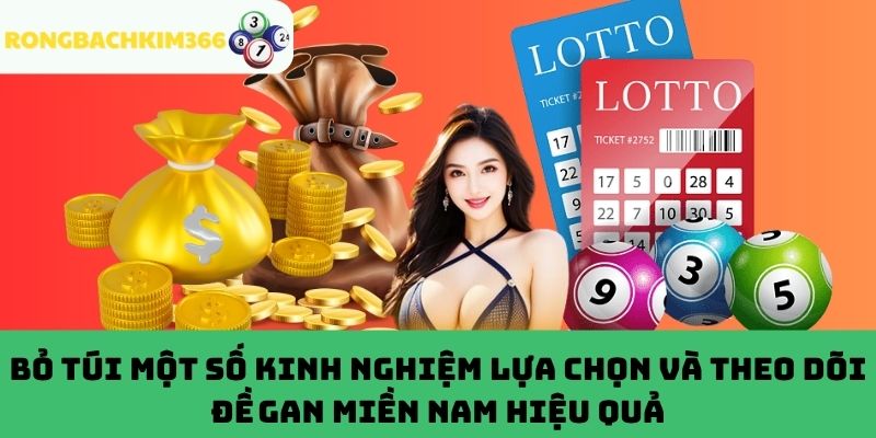 Tips lựa chọn và theo dõi đề gan miền Nam thông minh
