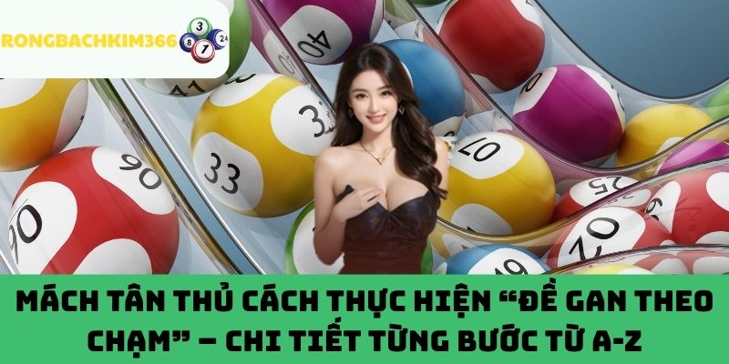 Quy trình áp dụng đề gan theo chạm chuẩn xác