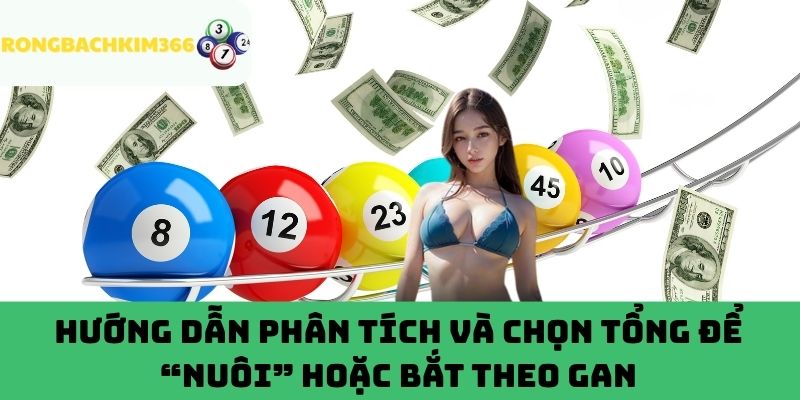 Cách chọn tổng để “nuôi” hoặc bắt theo gan