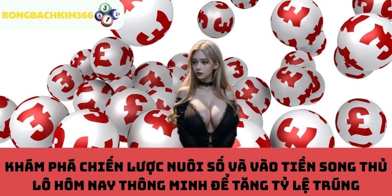 Chiến lược nuôi số và vào tiền song thủ lô hiệu quả