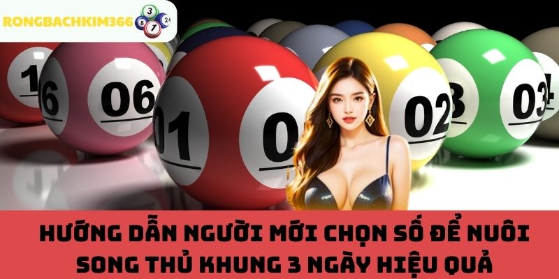 Mẹo chọn số để nuôi song thủ khung 3 ngày